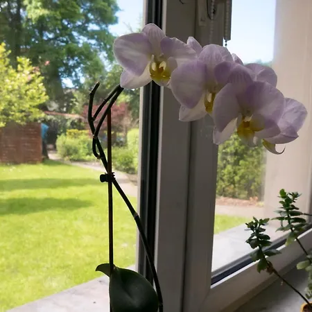 Apartament Parkowy *